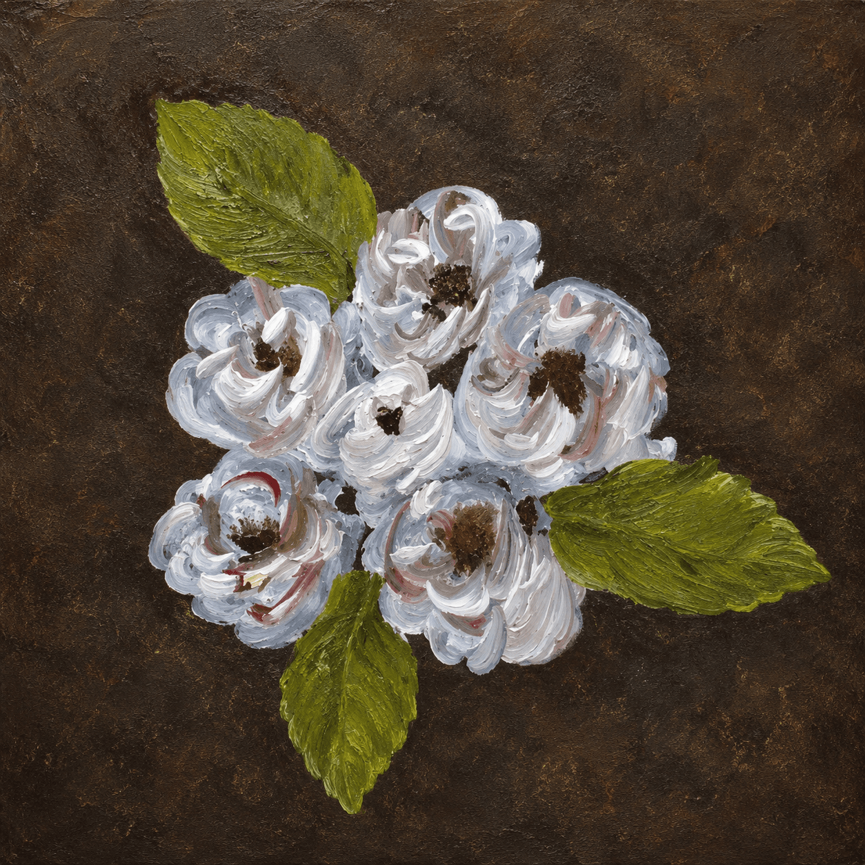Camelia Blanca