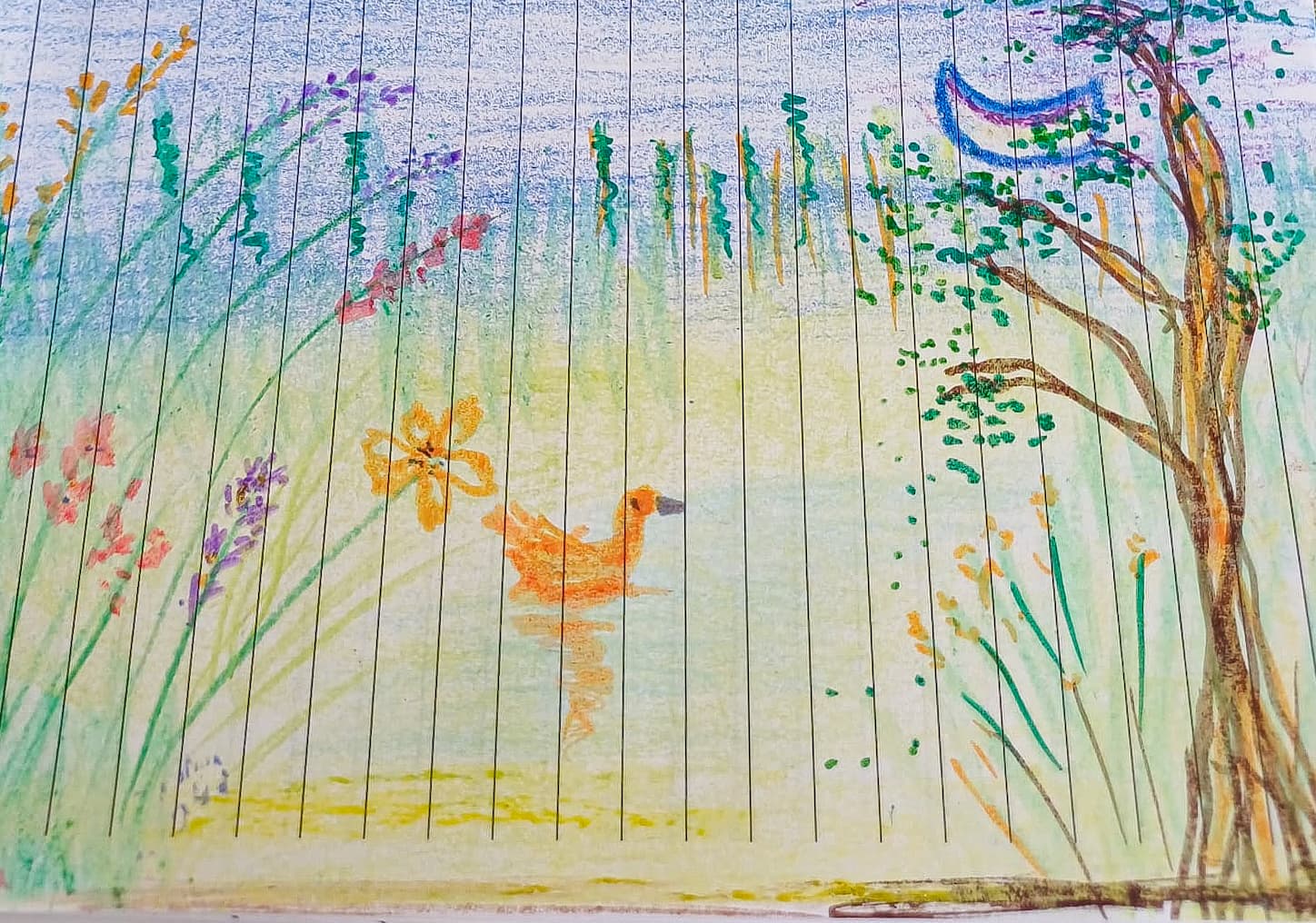 Crayones