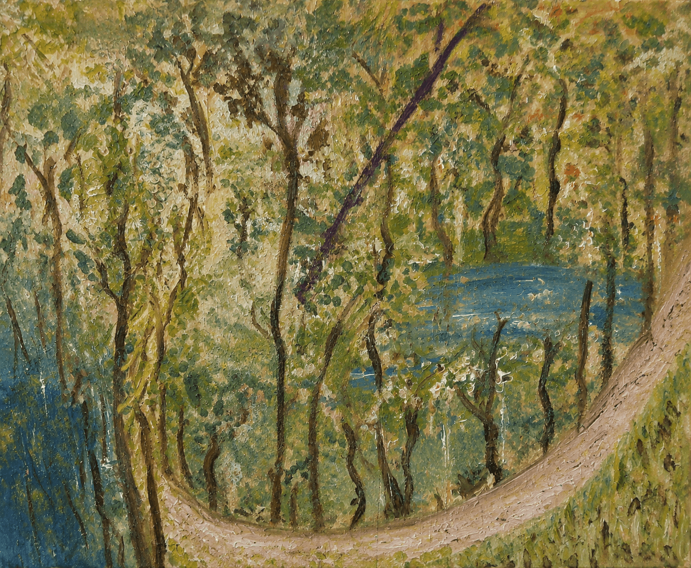Selva Valdiviana